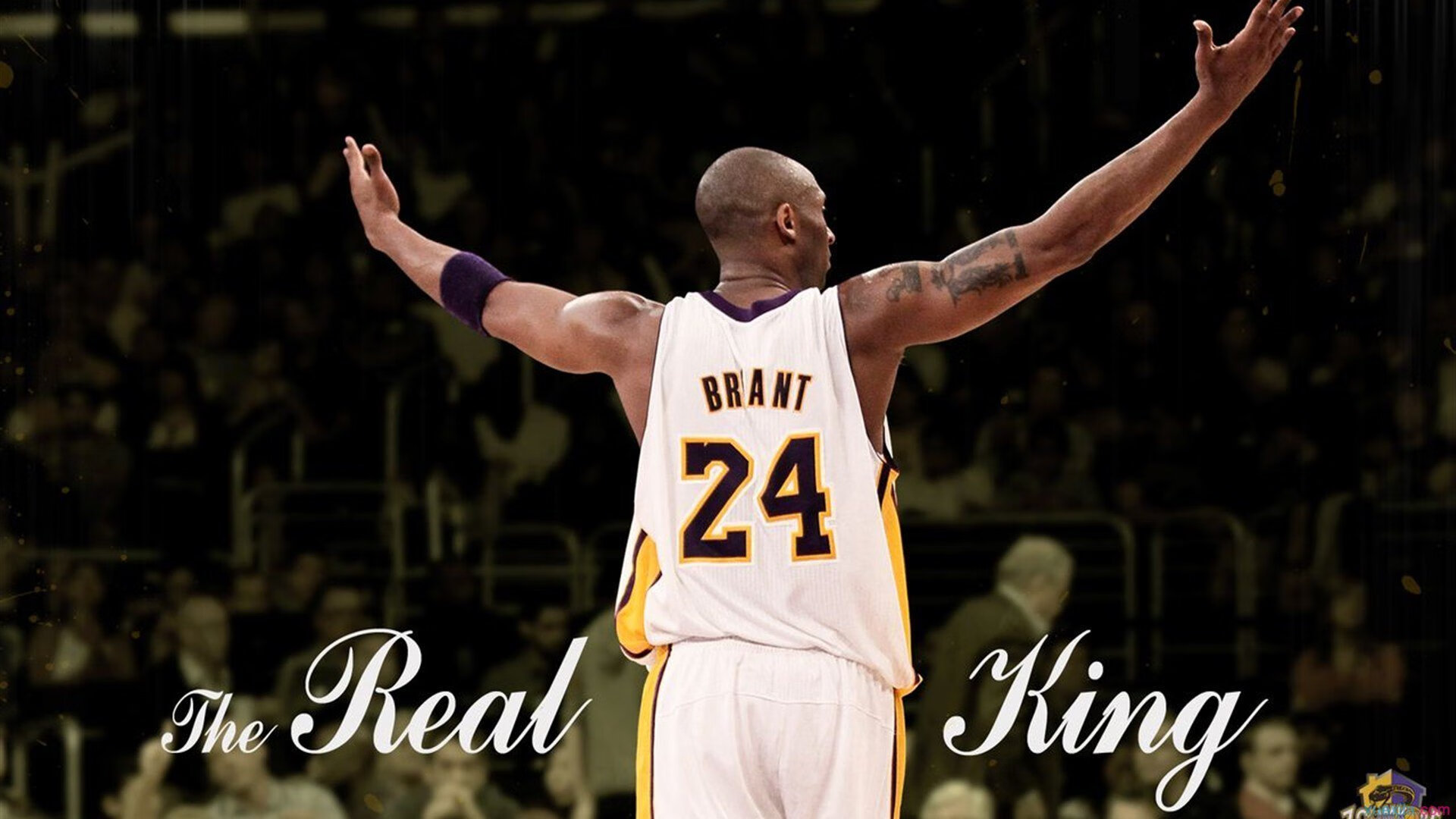 万乐天刷新个人最佳成绩，万乐天百科