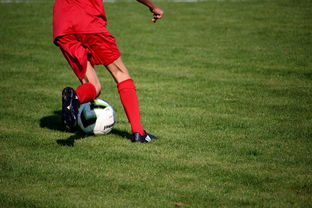 篮球运动员心理健康维护服务体系研究，篮球心理技能训练计划